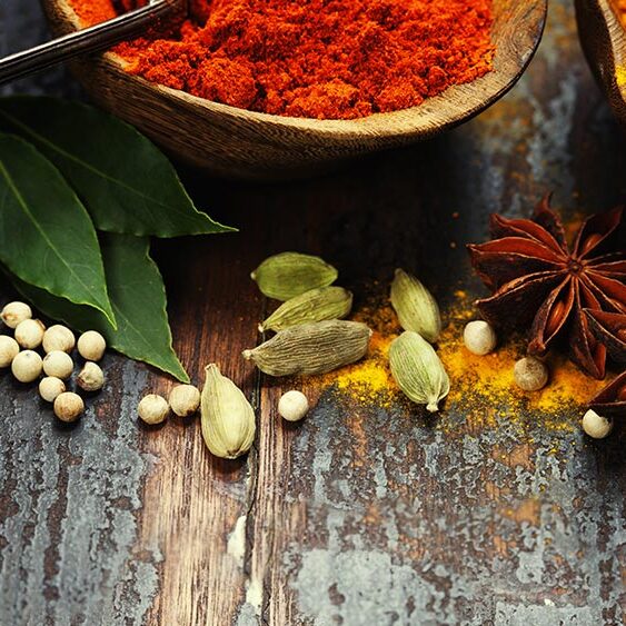 Our-Menu-Fotolia_64821578